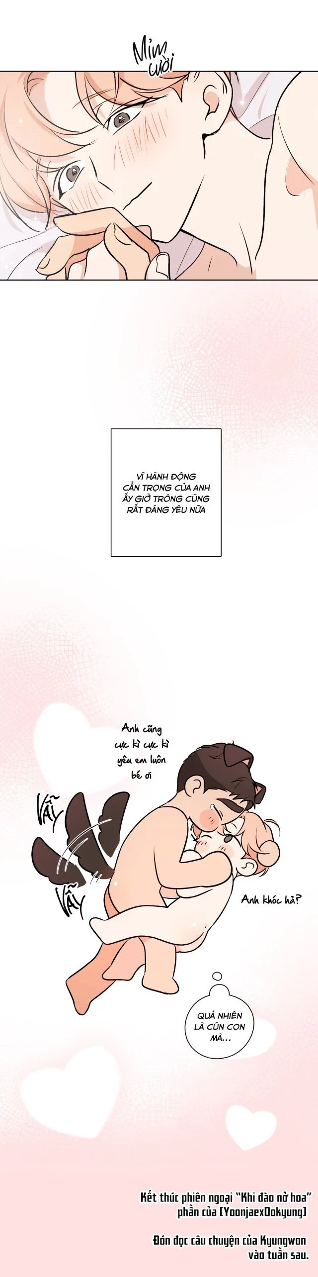 khi đào nở hoa chapter 23 28