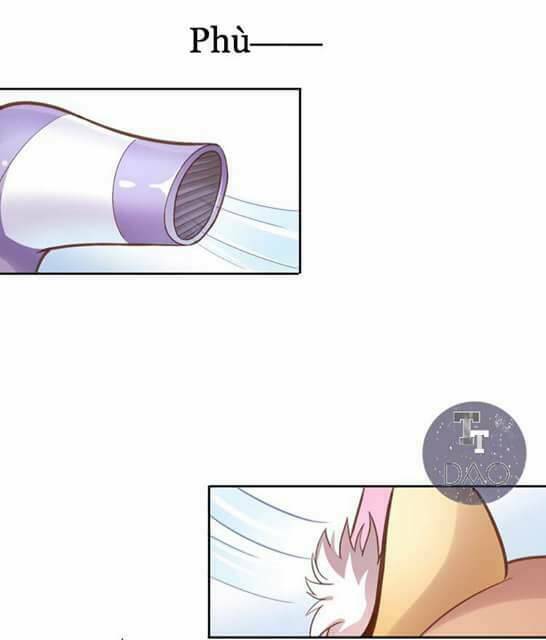 dưới móng vuốt mèo chapter 1 31