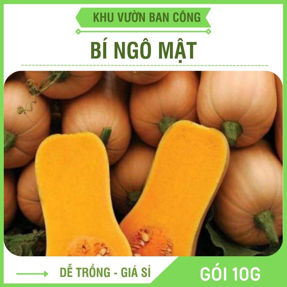 Hạt Giống Bí Ngô Mật Butter F1 Ngon Ngọt Dễ Trồng Gói 10G - Khu Vườn Ban Công