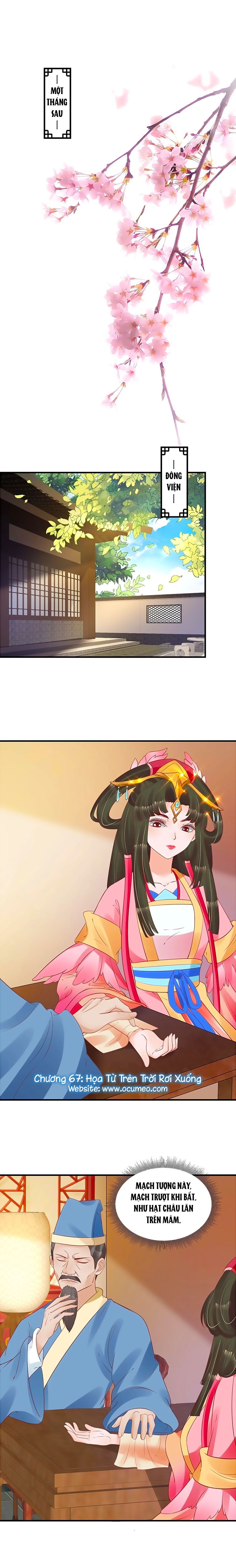 thịnh thế lê hoa điện chapter 67 1