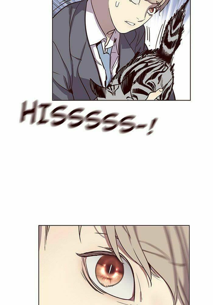 biến thân thành mèo chapter 11 98