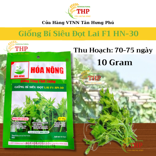 Hạt giống Bí Siêu Đọt Lai F1 HN-30 | Hạt giống | gói 10gr