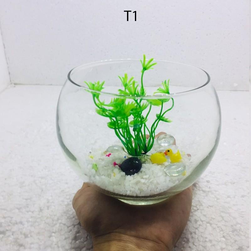 Bể cá mini TRÒN, chậu cá thủy tinh chọn mẫu