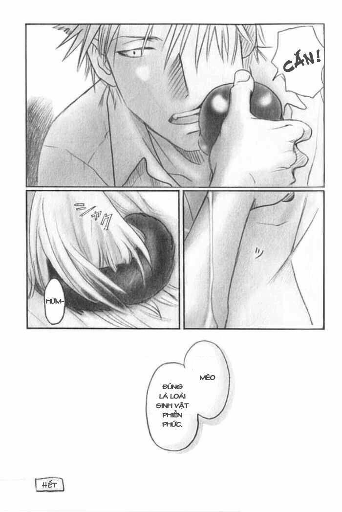 maiden rose-special chapter 7 9