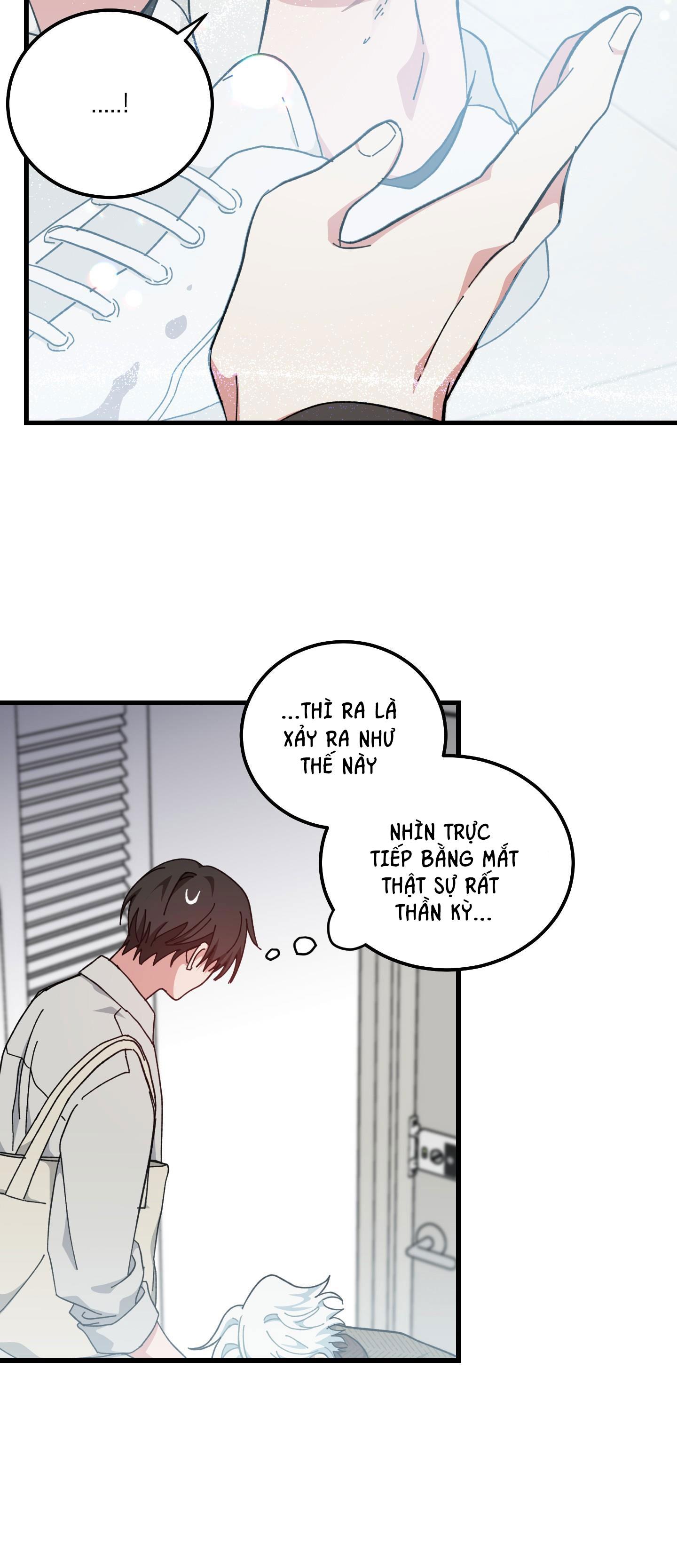 yêu tôi đi, thần hộ mệnh chapter 33 39