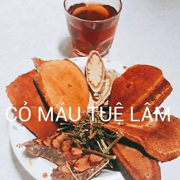 Cây cỏ máu