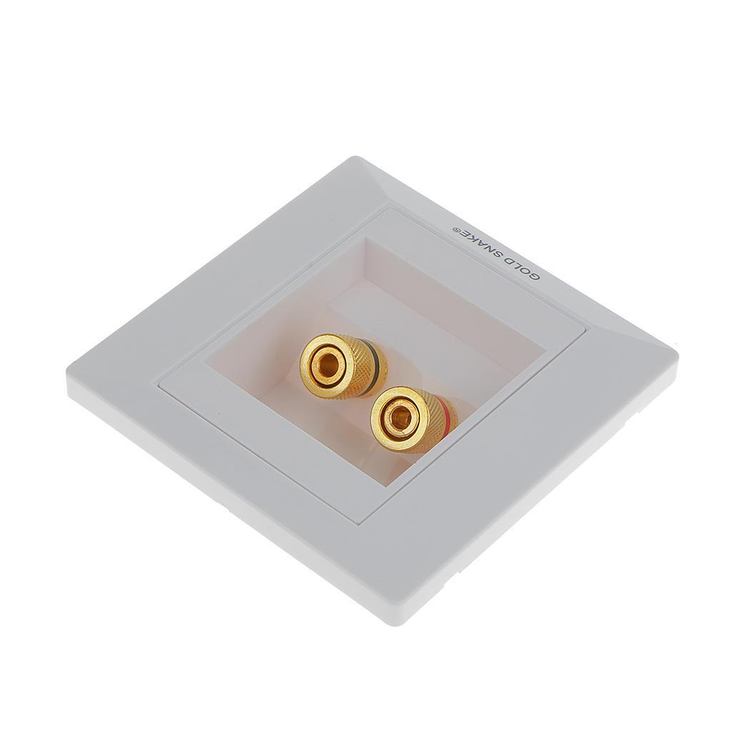 4 Count Speaker Wall Plate 2+4 Banana Binding Posts for Speaker Decor