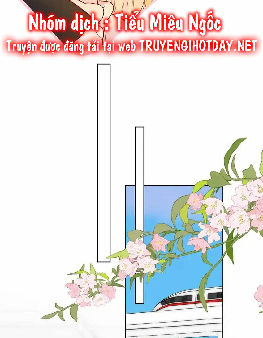 vì sao của tôi chapter 151 15