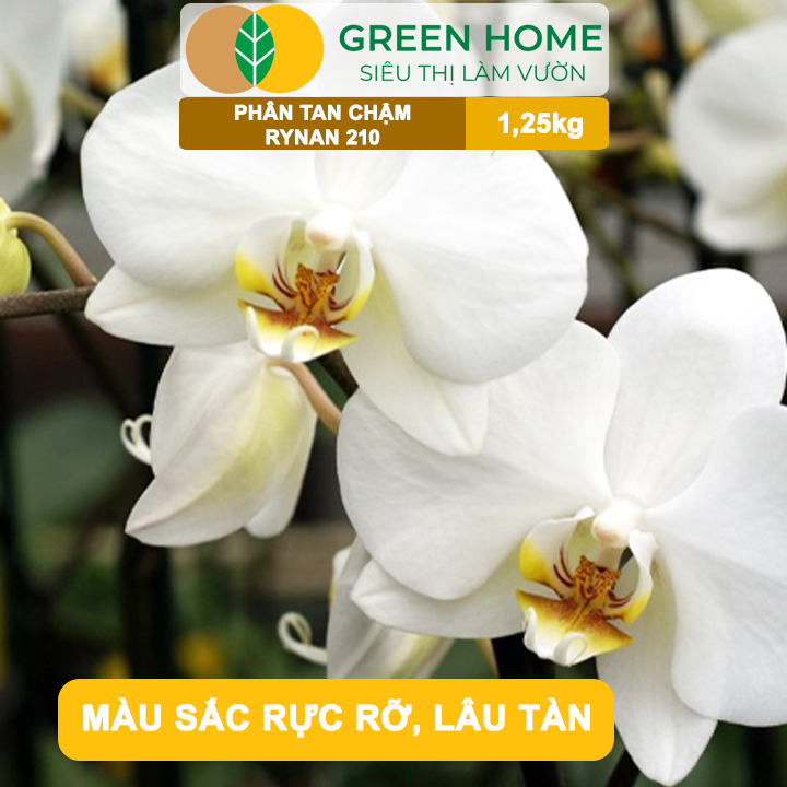 Phân Tan Chậm GreenHome, Rynan 210, Hũ 1,25kg, Dùng Cho Phong Lan Trưởng Thành, Đủ Dưỡng Chất