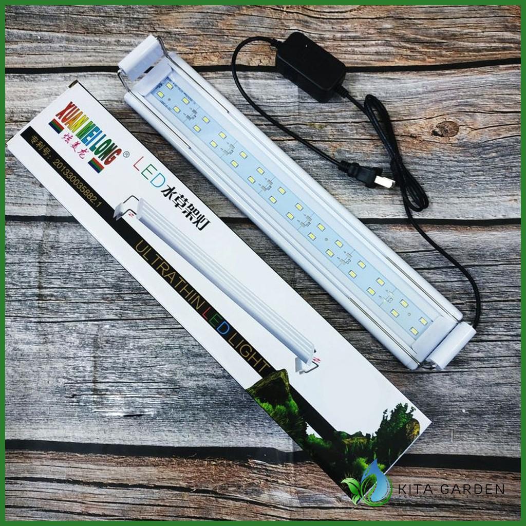 ĐÈN LED MÁNG XUANMEILONG 3 CHẾ ĐỘ MÀU