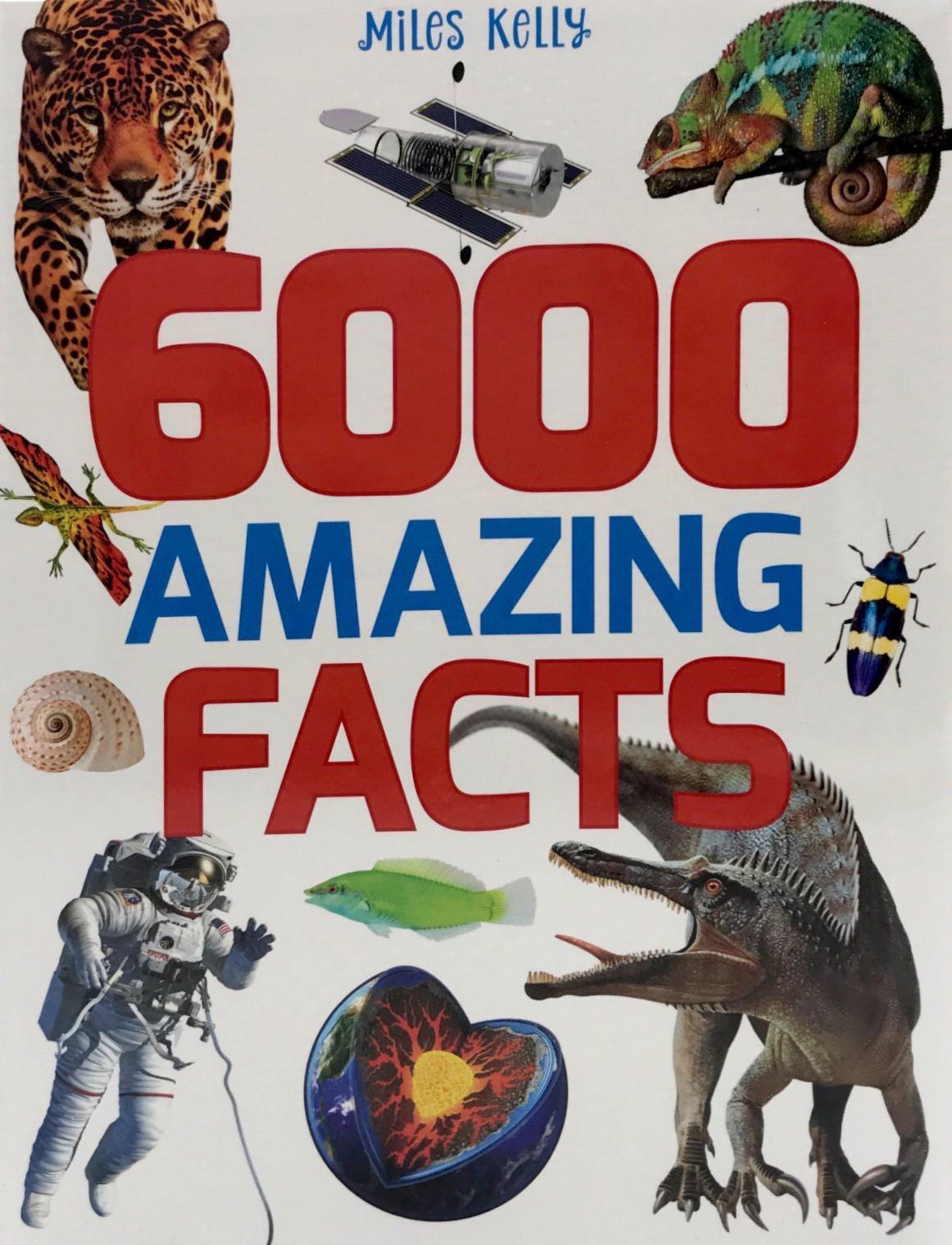 B384 6000 AMAZING FACTS