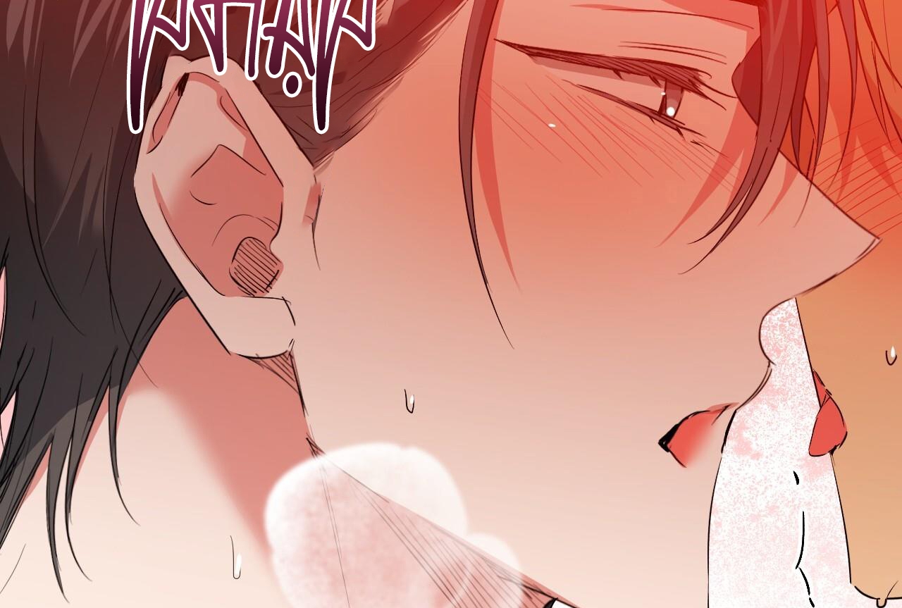 đàn thỏ của habibi chapter 64 63