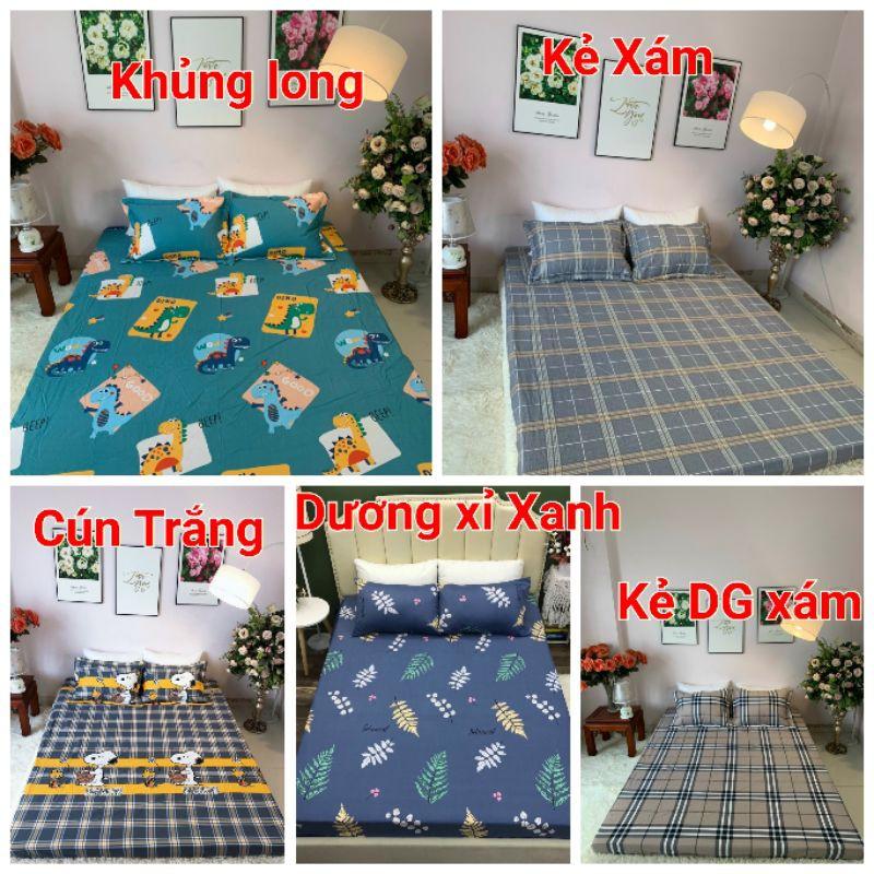 Bộ Ga Giường và Vỏ Gối Cotton 100%. Ga chun và 2 Vỏ gối