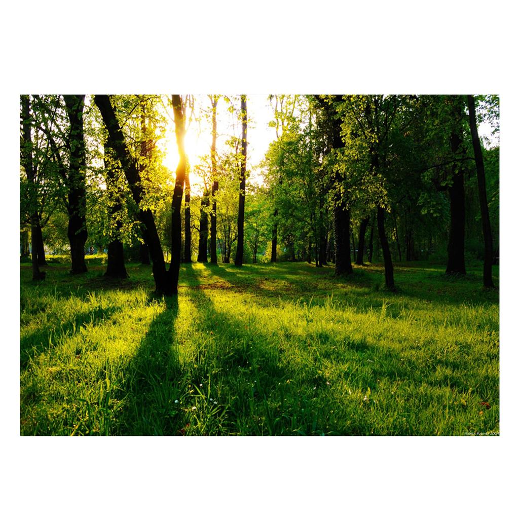 Aquarium Background Adhesive Poster Fish Tank Wall Decorations Sticker