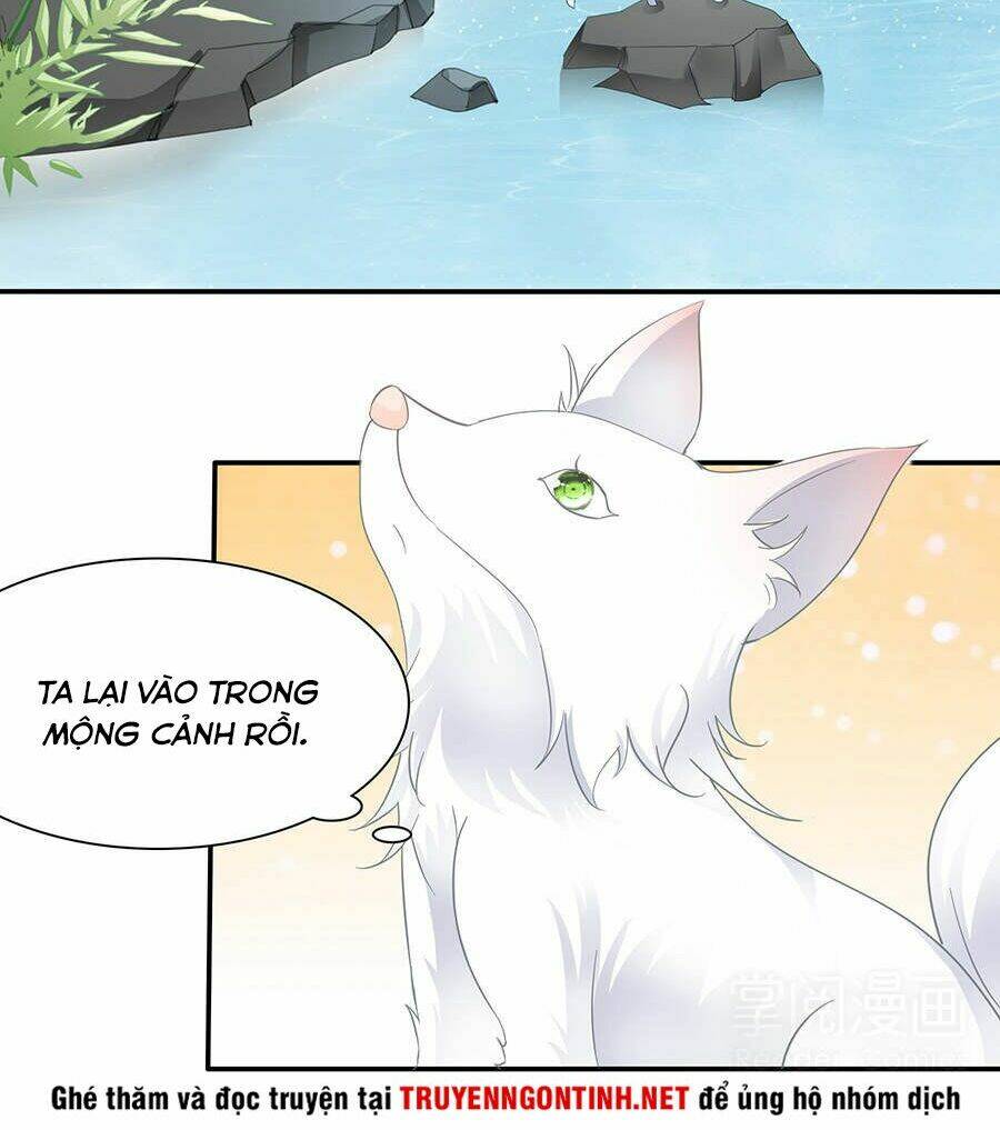 vương phi lại hạ độc rồi chapter 11 20