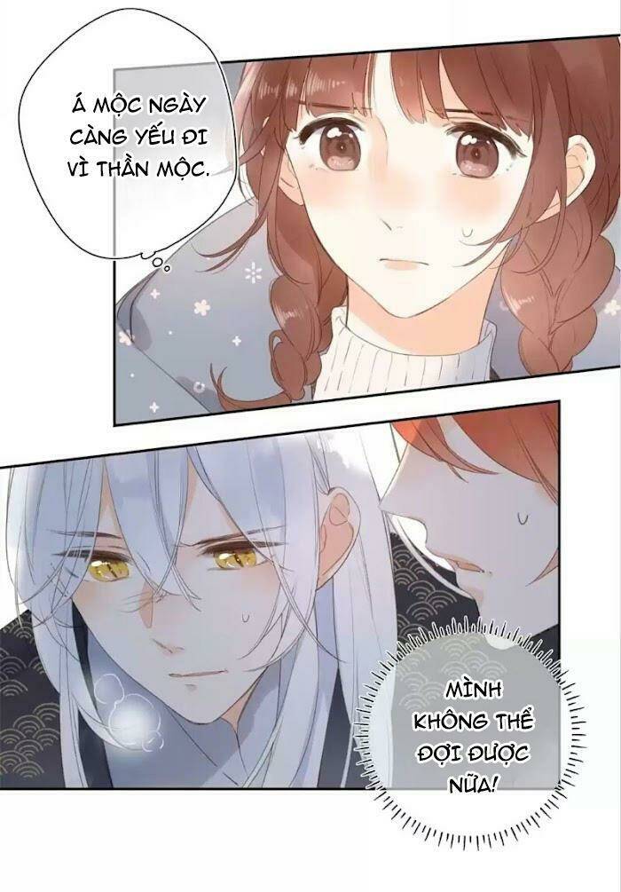 sos! tôi đã yêu một con sâu bướm (phần 2) chapter 19 25