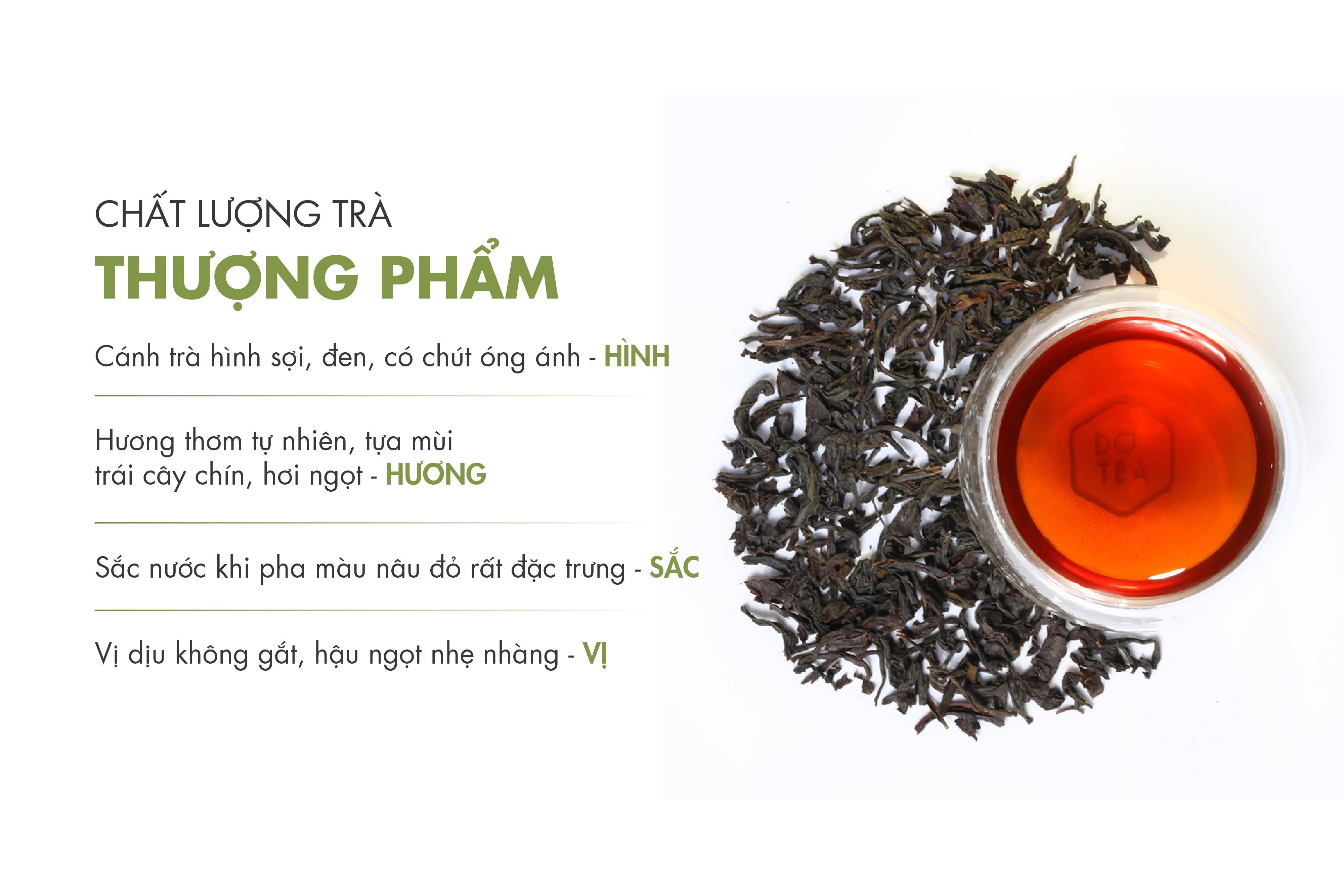 Trà Đen Cao Cấp B551 Dotea 500g/ 100g - Thu Hái Từ Một Trong Hai Vùng Trà Cổ Tại Bảo Lộc Vị Dịu Không Gắt Thơm Tự Nhiên