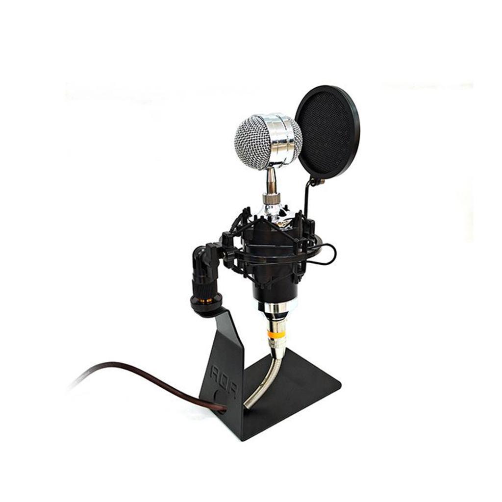 Tabletop Microphone Stand Desk Holder for Singing Kids, Adults