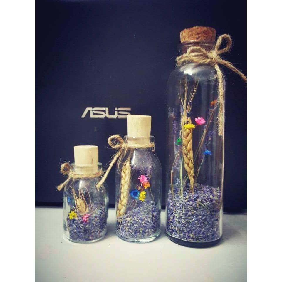 Lọ nụ Oải Hương Lavender mix snowy flower hoa tuyết các size