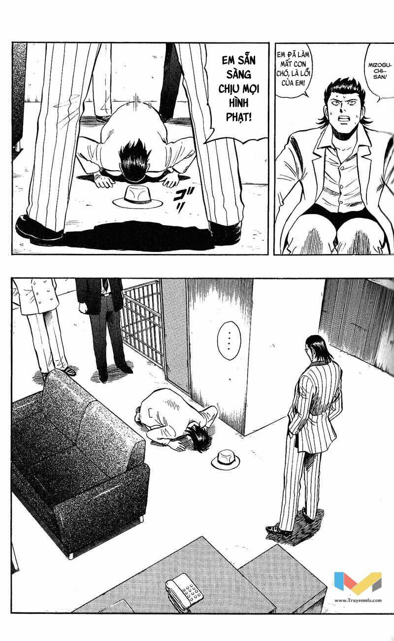 animal sense chapter 7 12