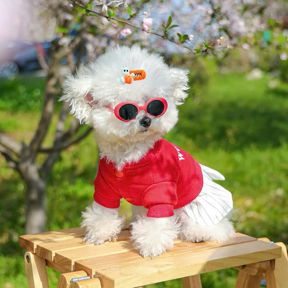 NƠ KẸP TÓC BUỘC TÓC CÀI TÓC THỜI TRANG DỄ THƯƠNG HALLOWEEN MÃ 35 CHO THÚ CƯNG CHÓ MÈO