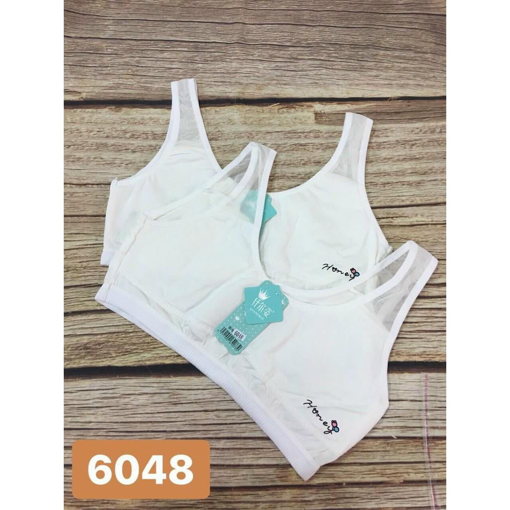 COMBO 05 ÁO LÁ HỌC SINH COTTON CAO CẤP 6048