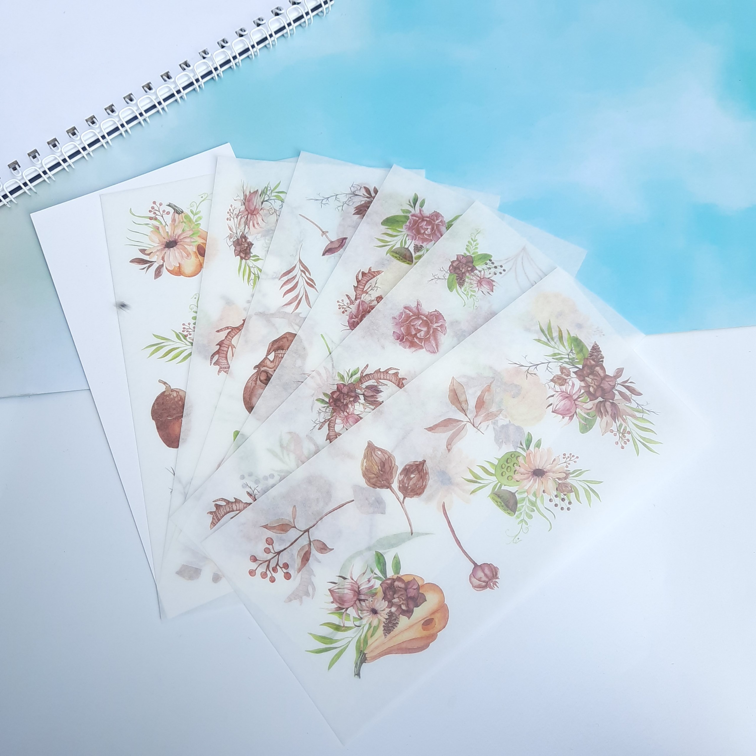 Bộ 6 Tấm Sticker Vườn Hoa Ma Quái