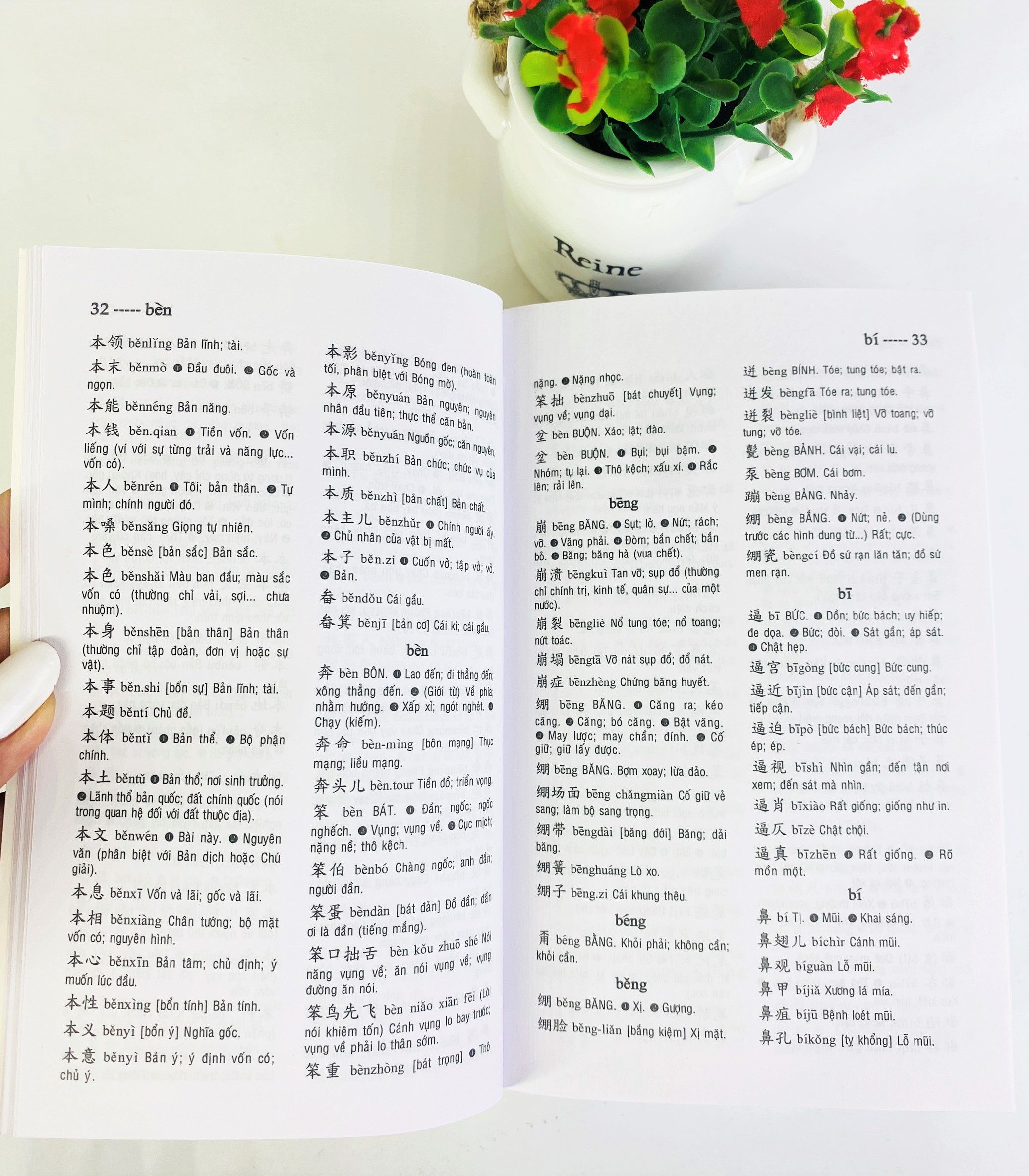 NDB - Từ điển Trung việt