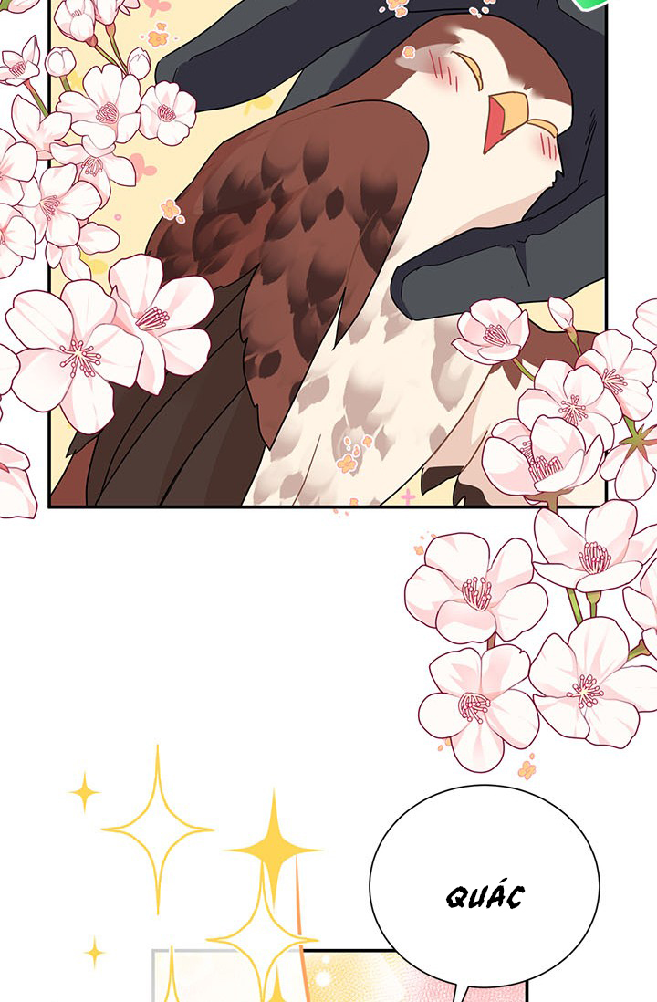 công chúa của loài chim chapter 20 40