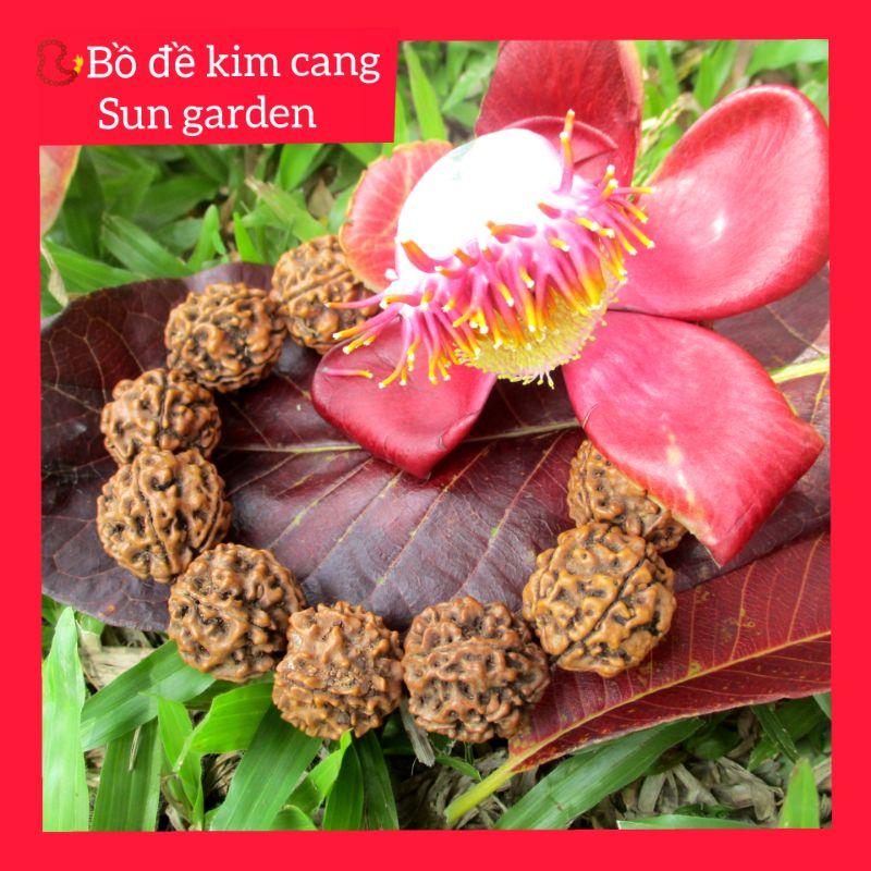 Vòng chuỗi bồ đề kim cang 20mm