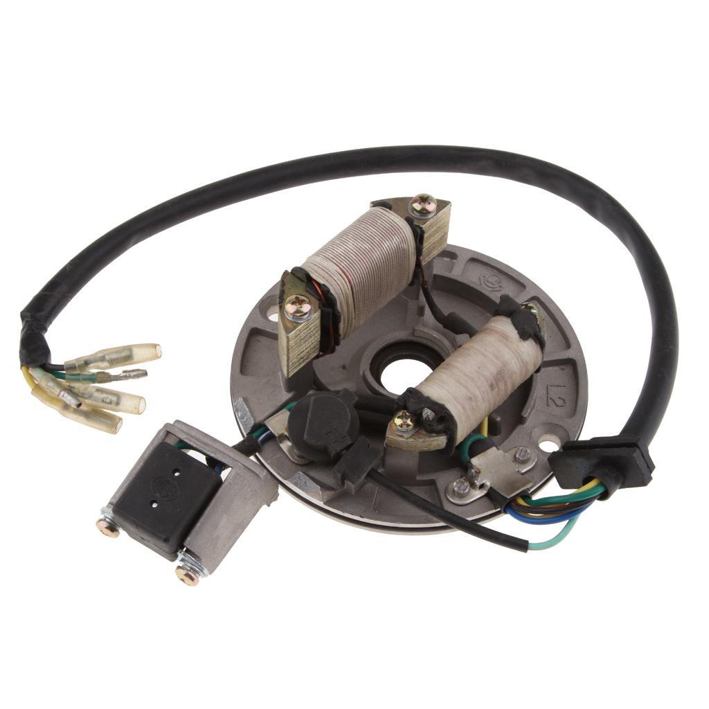 Ignition Stator Magnet Plate for Quad ATV Kart Bike 90cc 110cc 125cc 140cc