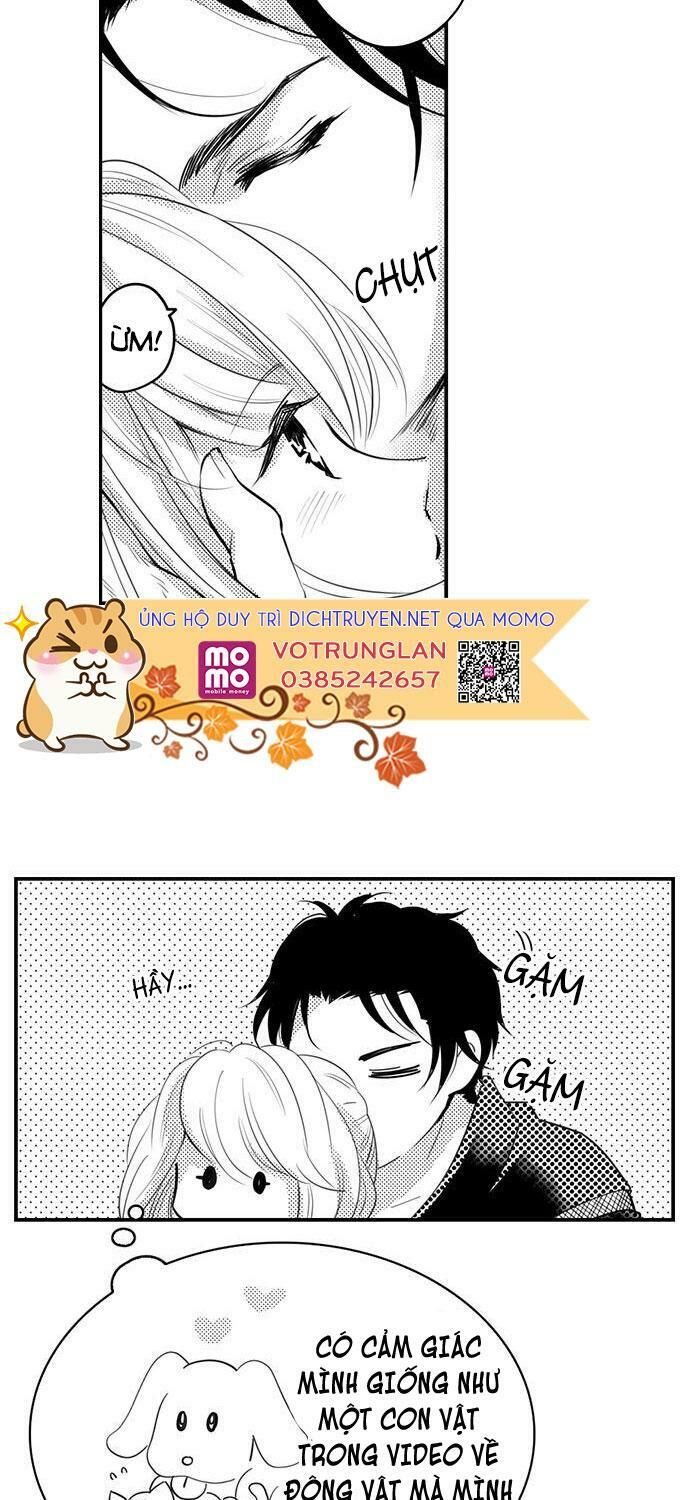 trêu ghẹo "gấu" nhà tôi! chapter 17 2