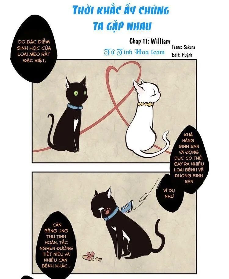 thời khắc ấy, chúng ta gặp nhau chapter 11 15