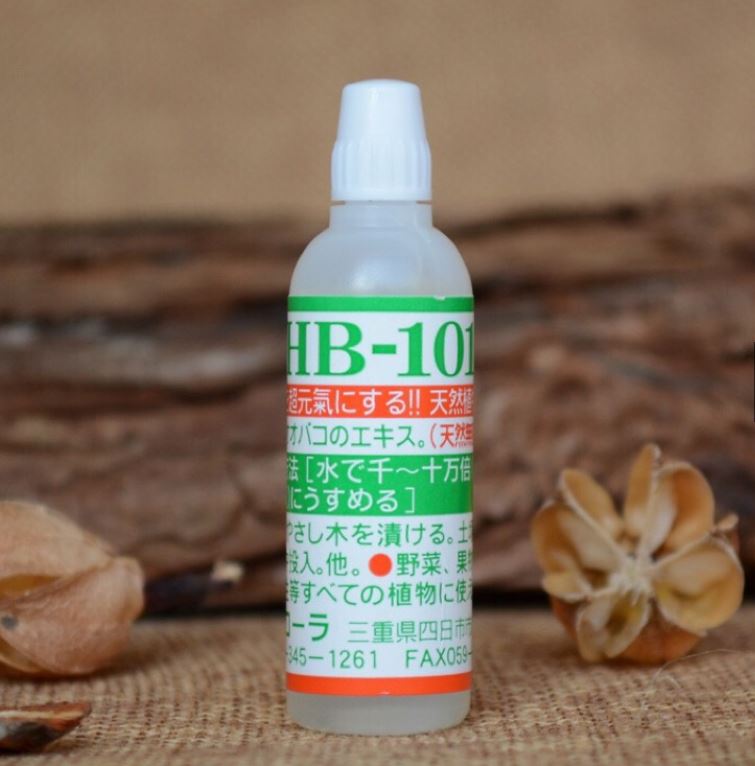 Siêu phẩm tăng trưởng Sinh học HB-101 Nhật Bản 6cc (1 lọ) Ra rễ mạnh, phục hồi cây suy yếu, hậu vị ngọt trái