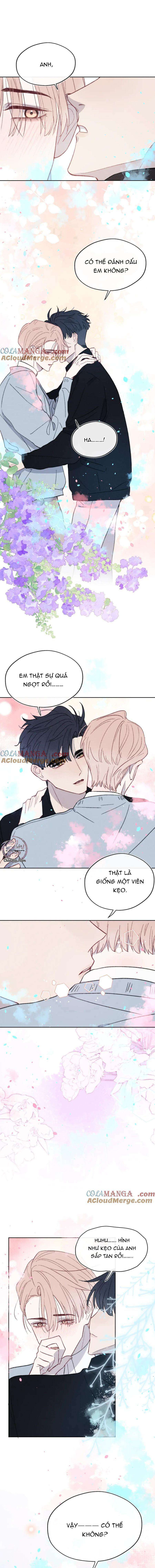 nhật ký thất tình của mr.nhung chapter 62 2
