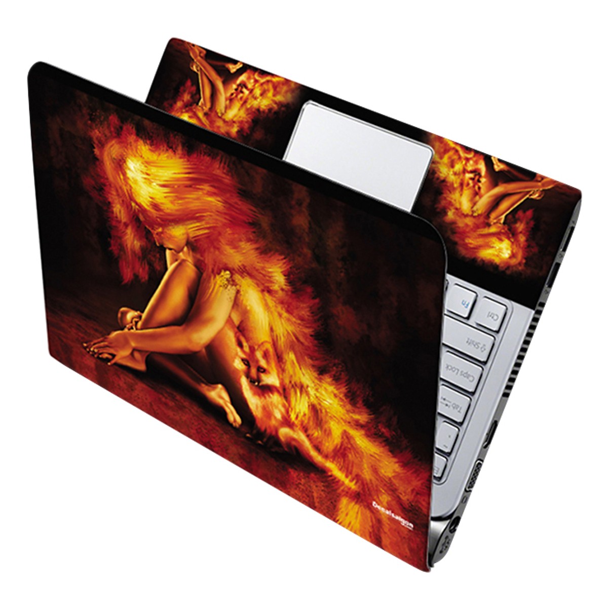 Mẫu Dán Decal Laptop Nghệ Thuật LTNT- 74 cỡ 13 inch