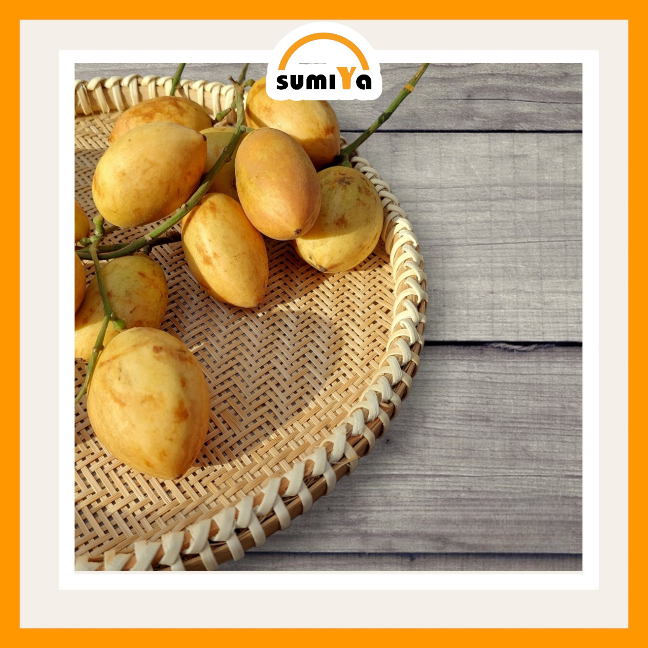 Mẹt tre viền mây đan thưa cao cấp hình tròn, nguyên liệu tự nhiên thân thiện với môi trường, dùng trang trí, để thức ăn