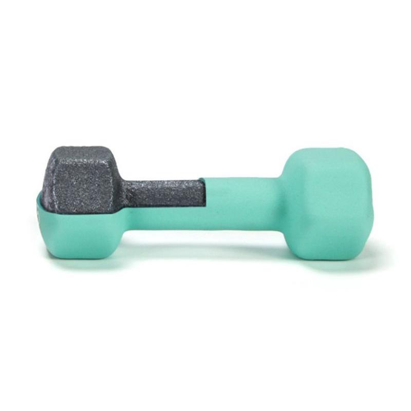 Tạ tay cao su nữ 3 kg ( 1 đôi ) tập GymH. Dumbbell. Tạ tập Gym cao cấp.