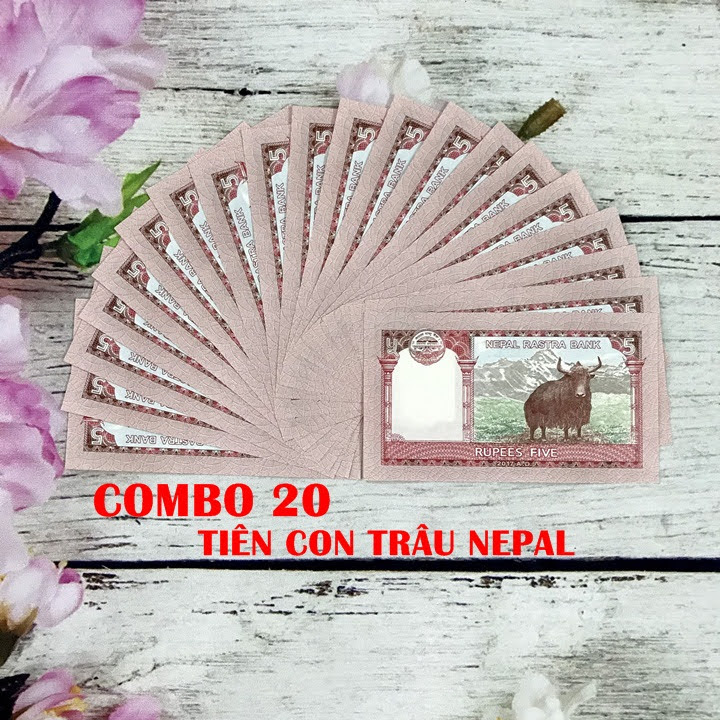 Combo 20 tờ lưu niệm hình con Trâu của Nepal, dùng để sưu tầm, lưu niệm, làm tiền lì xì độc lạ, may mắn, ý nghĩa - TMT Collection - SP005071