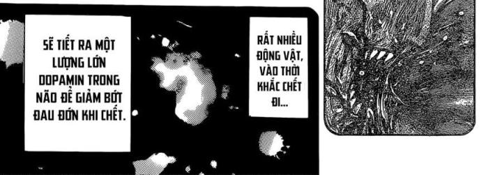 thánh tỏi sành ăn chapter 357 29
