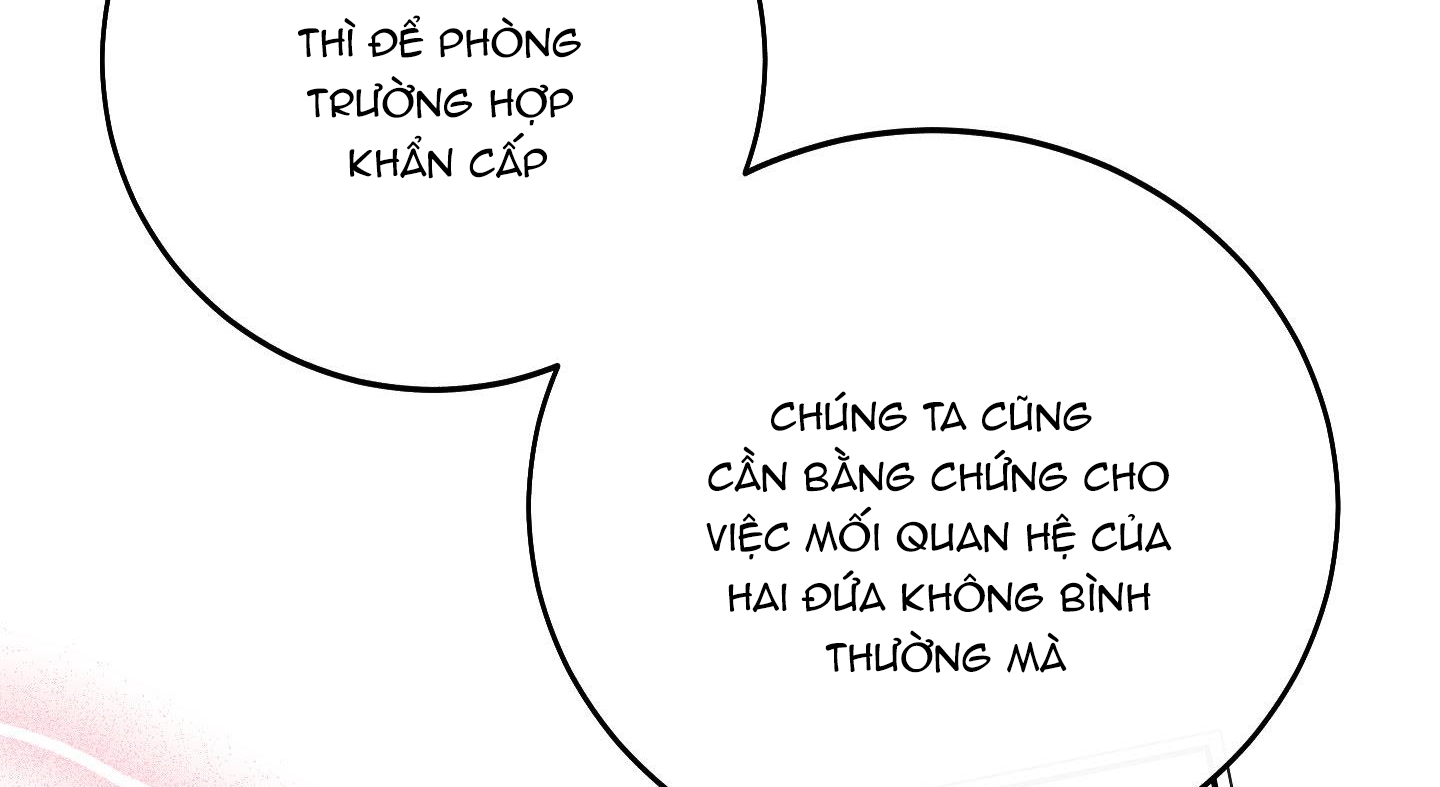 lãng mạn giả dối chapter 13 14