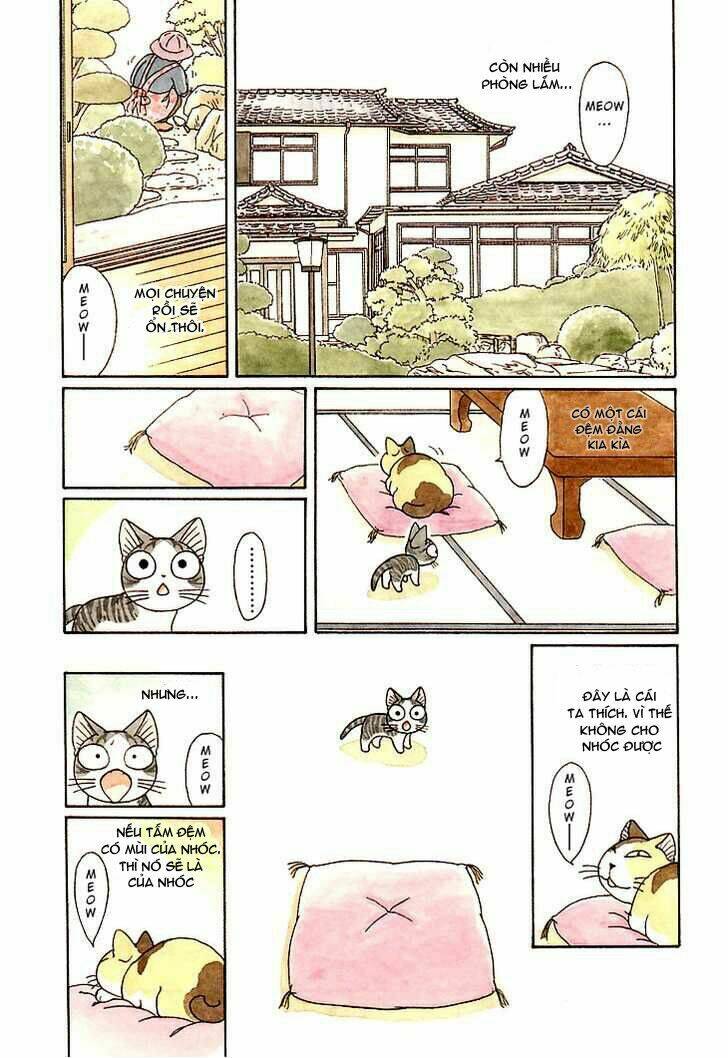 chi's sweet home chapter 85 5