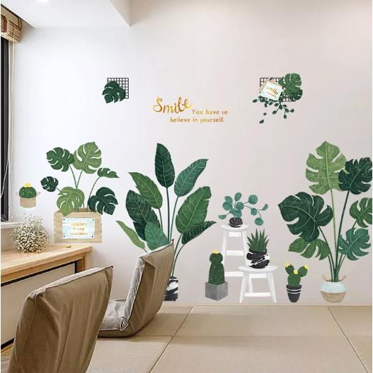 DECAL DÁN TƯỜNG PHONG CÁCH HÀN QUỐC NHIỆT ĐỚI Chậu cây xanh SIÊU TO NHẤT