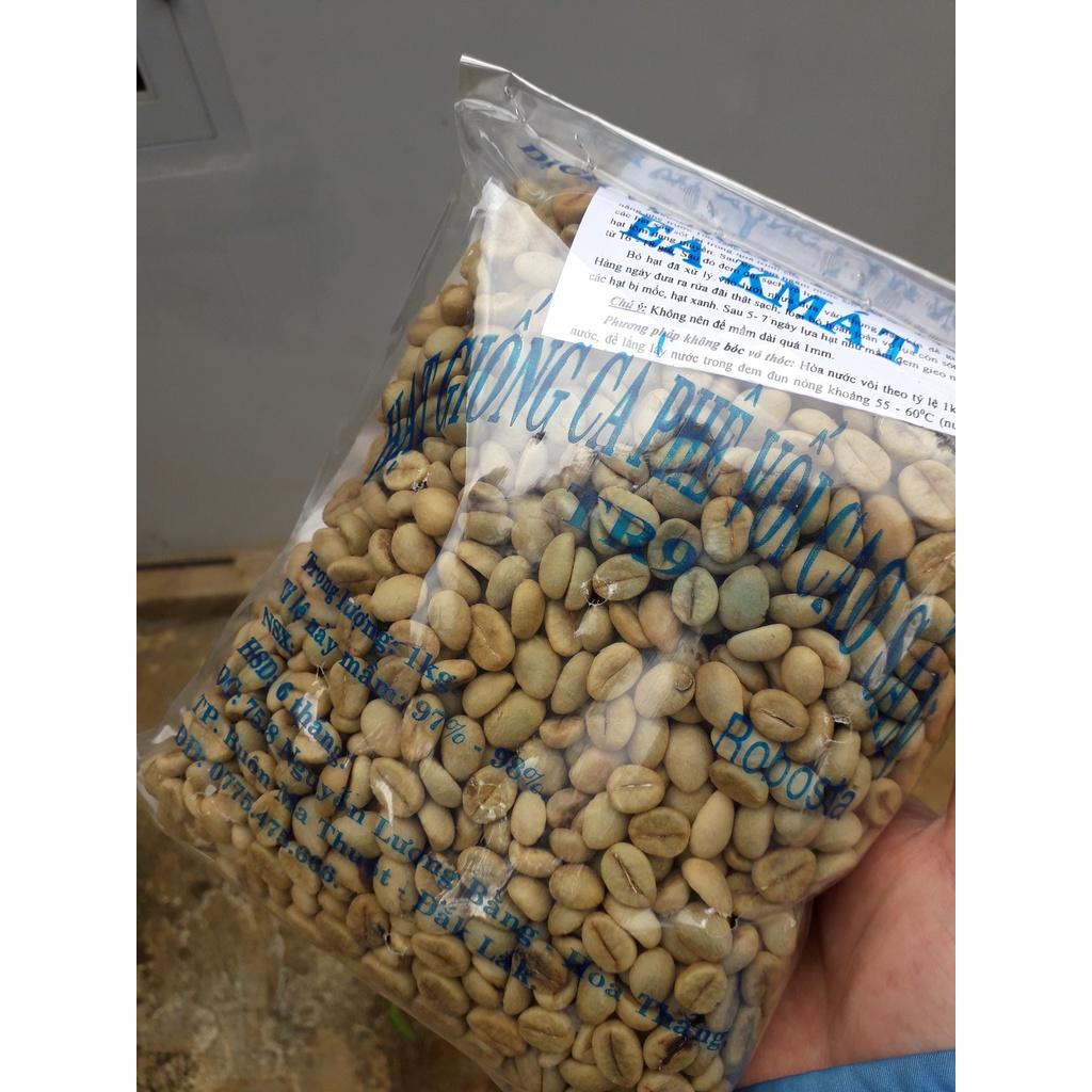 200 GRAM HẠT GIỐNG CÀ PHÊ vối cao sản TR9 [ HẠT TUYỂN CHỌN - TỶ LỆ NẢY MẦM CAO ]. [ freeship xtra + hoàn xu + ]