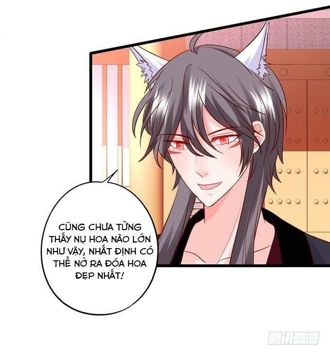 hồ tiên hung bạo chapter 138 4