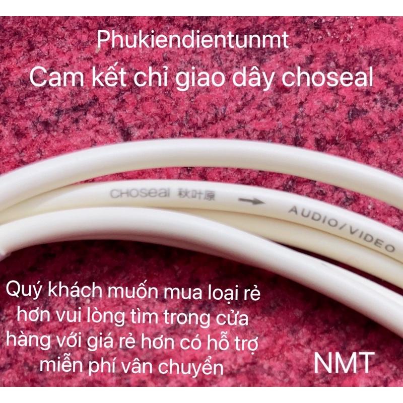 Dây cáp âm thanh AV 2 ra 2