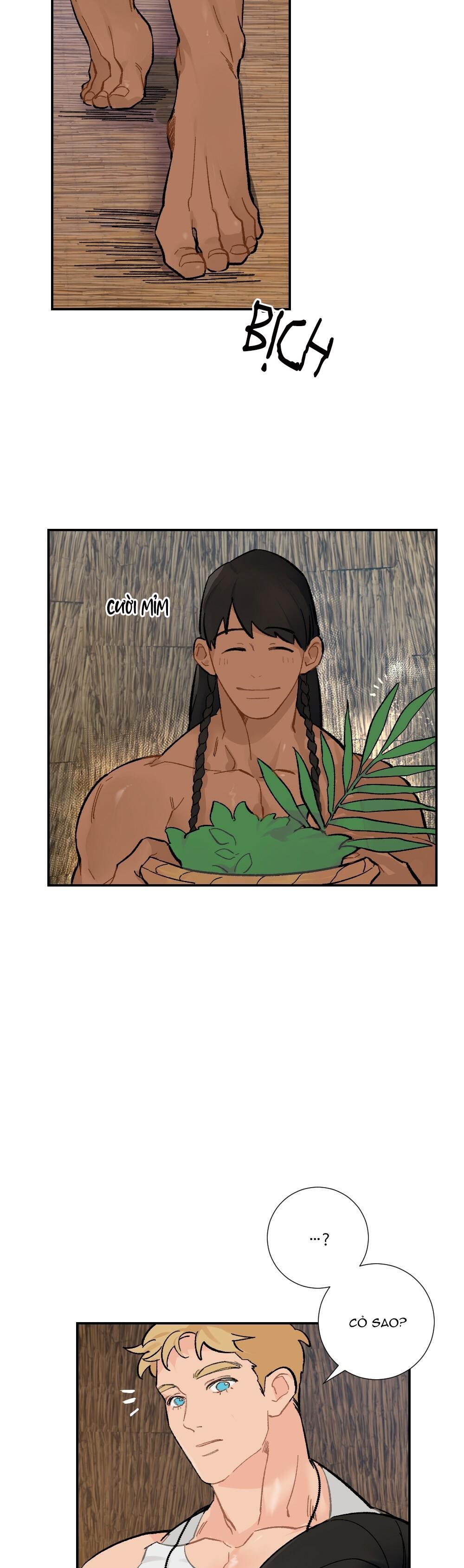 chăm sóc chapter 5 15