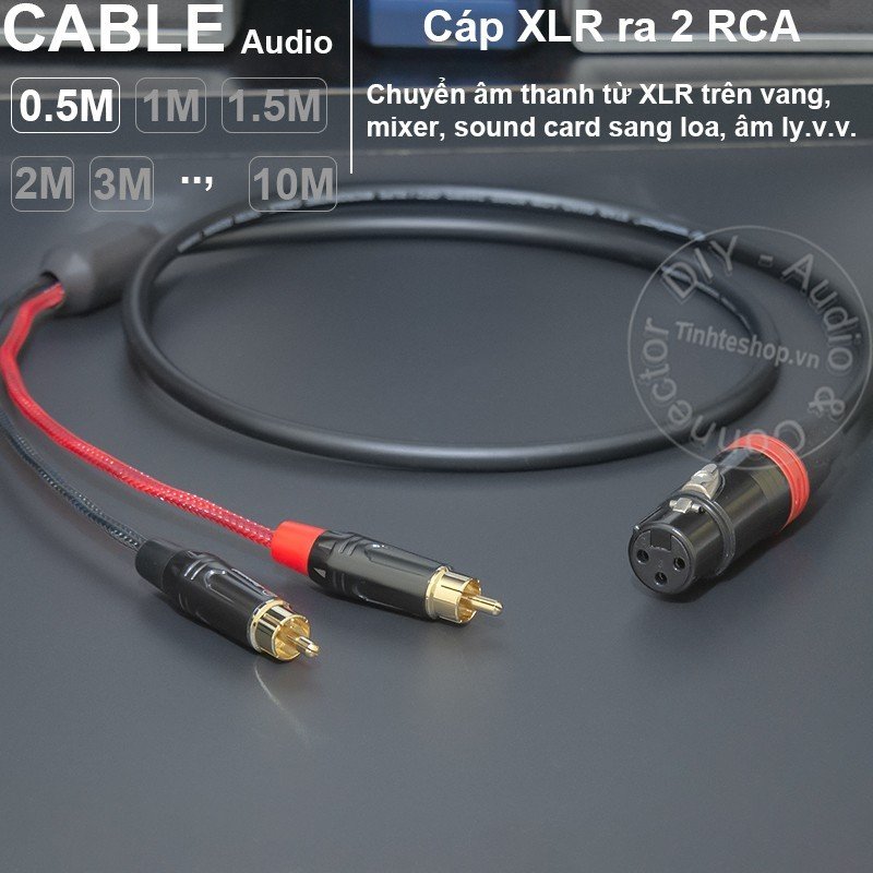 Cáp canon cái sang 2 hoa sen AV đực chuyển âm thanh từ Sound card Vang Mixer sang Loa Amply - XLR Female to Dual RCA Male cable