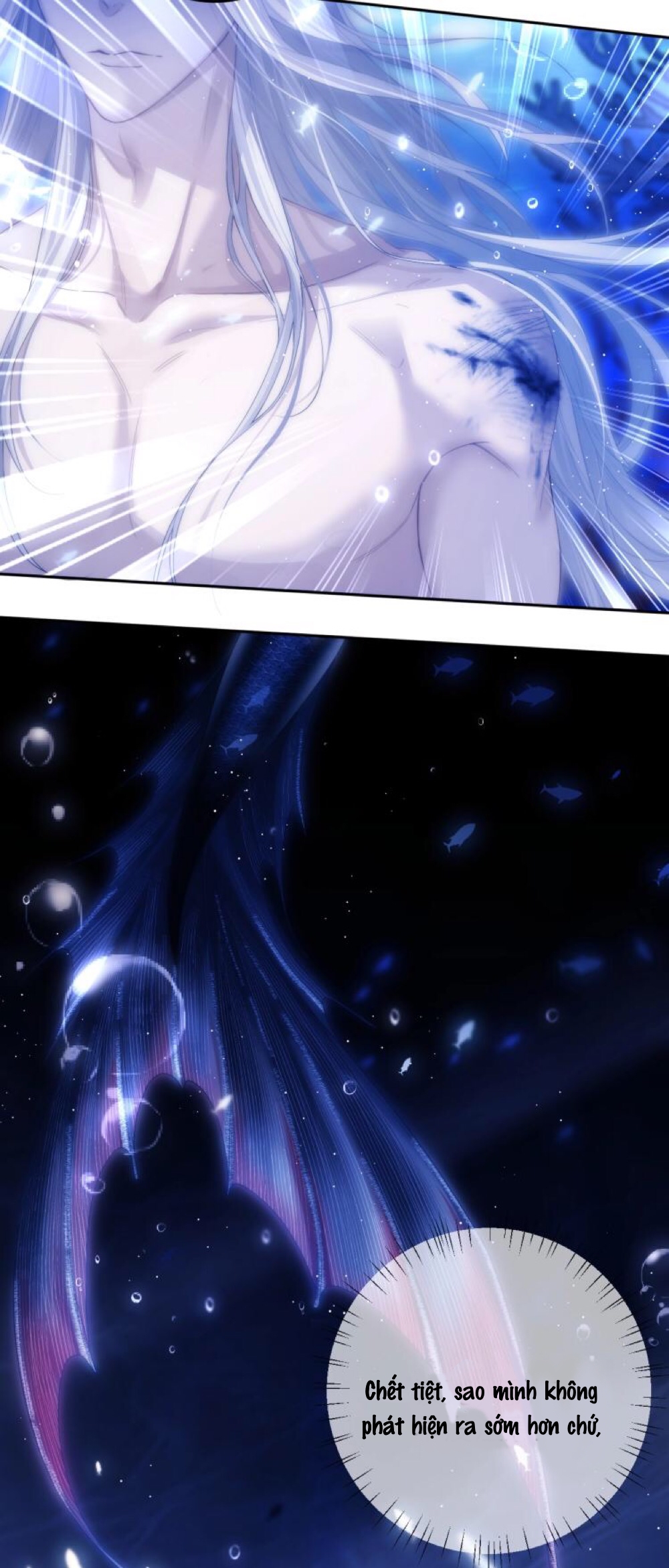 nhân ngư dessaro chapter 2 22