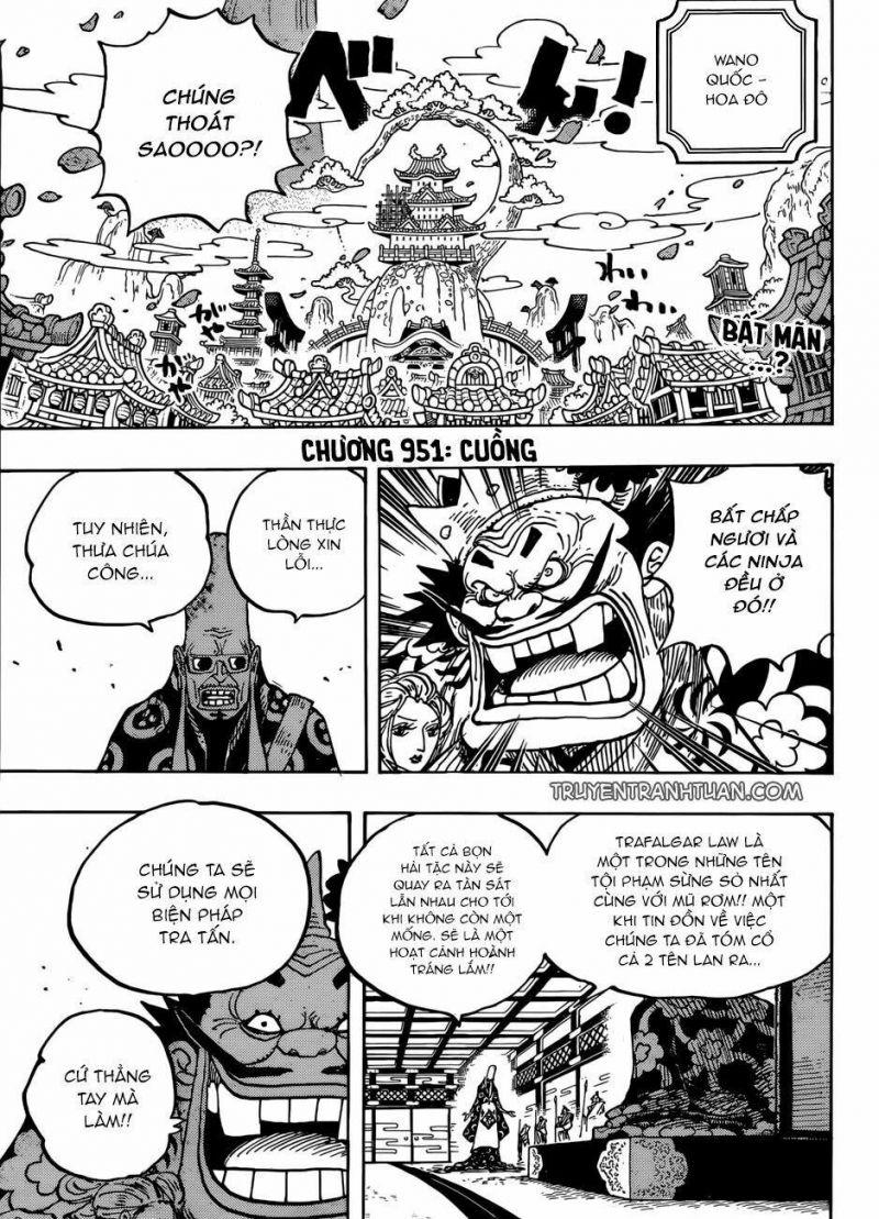 đảo hải tặc - one piece chapter 951 1